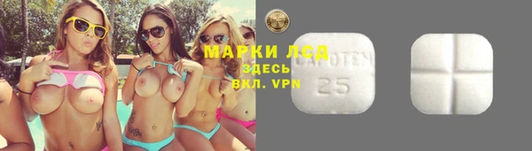 индика Баксан