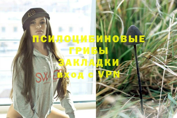 индика Баксан