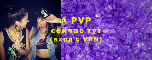 индика Баксан