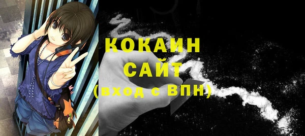 индика Баксан