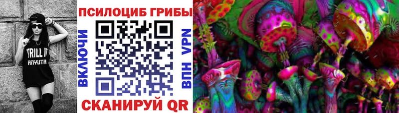 Купить закладки  Сибай  Галлюциногенные грибы Psilocybe 